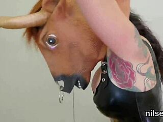 feisty kitten taken to anal hole asylum for painful treatment