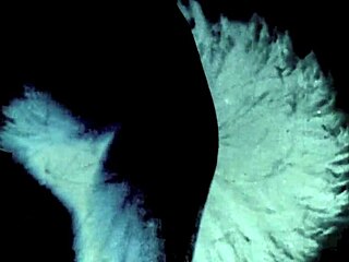 vintage very old grannies feeling horny in antique group settings