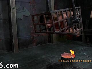 Four angels confined in a small cage