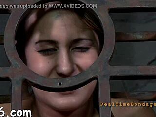 Four angels confined in a small cage