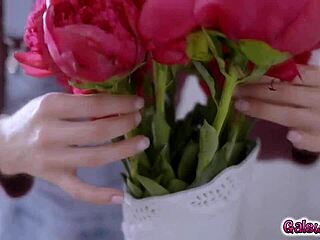 i had passionate and playful sex with siri dahl and spencer bradley