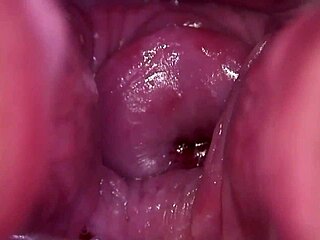 My pussy is very breedable, getting fucked hard with big tits bouncing.