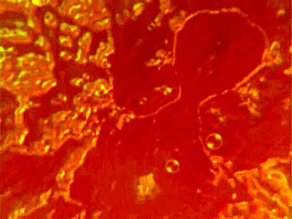 Exploring Valkyrie in Virtual Reality Gameplay