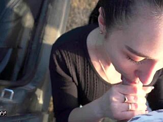 i watch black lynn suck my big cock in the car at sunset