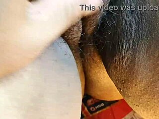 desi bhabi cleans her hairy pussy