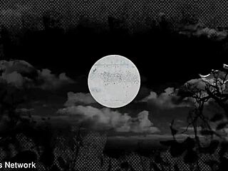 Busty Cassidy Banks Gets a Huge Creampie!