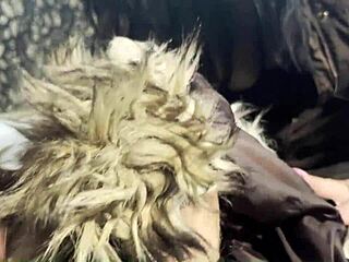 Curvy Latina housewife slaps ass in intense cum fetish on jackets