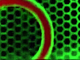 Hot brunette milf maxine x enjoys rome majors big cock in her ass, riding hard and deep