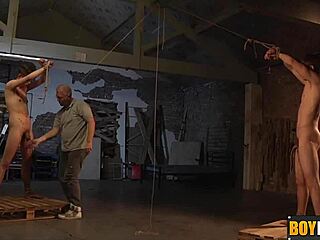 Sebastian attache les couilles ! 😈