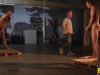 sebastian ties balls! 😈