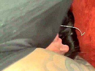 whoa these amateurs get creampied doggystyle in miniskirts fishnets bent over moaning loud