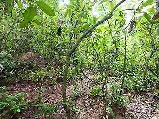 Suggestive Forest Teens Lick Pussy In Thai Woods Adventure