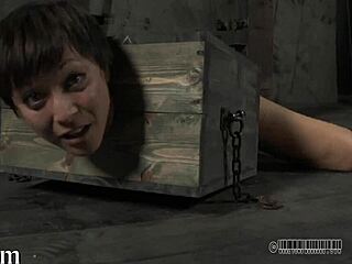 Girl Endures Brutal Caning Punishment Without Mercy