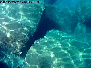 Fish gobbling up thick cum loads for liquid lunch?! Cum everywhere!