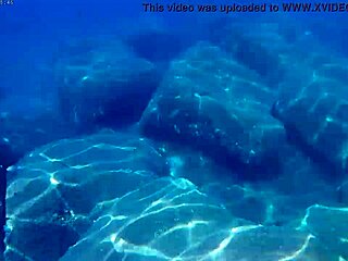 Fish gobbling up thick cum loads for liquid lunch?! Cum everywhere!