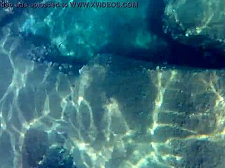 Fish gobbling up thick cum loads for liquid lunch?! Cum everywhere!