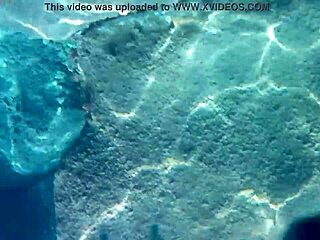 Fish gobbling up thick cum loads for liquid lunch?! Cum everywhere!