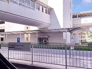 who wouldn't fuck this hibiscus beauty from okinawa with perfect nipples?