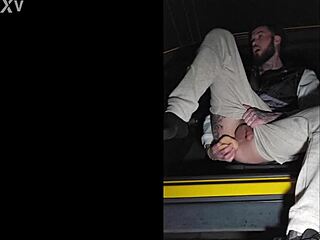 Strangers Hunt Outdoor Public Fuck Partners Desperately