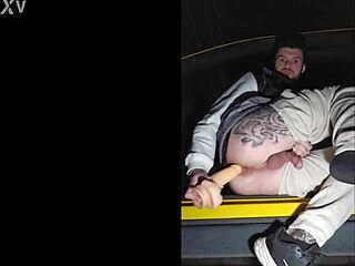 Strangers Hunt Outdoor Public Fuck Partners Desperately