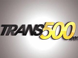 Ladyboy Gapes Huge Ass Fucked Licked in Hardcore Group Orgy Session