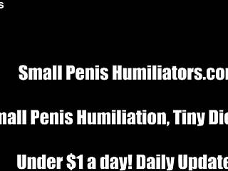 your tiny dick makes me sick sph 😂 femdom humiliation pov