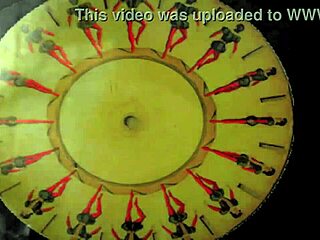 vintage hairy pussies in retro erotic beaver close-ups