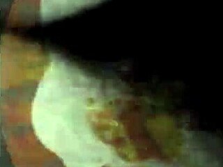 vintage hairy pussies in retro erotic beaver close-ups