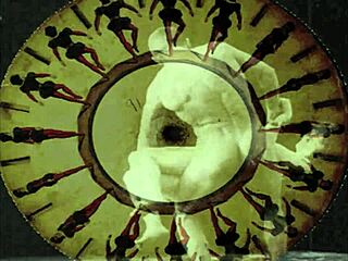 vintage hairy pussies in retro erotic beaver close-ups