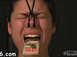 caged beauty's smooth ass whipped hard before nasty anal pounding pov