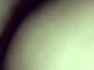 Transsexual bareback ass devours thick cock in crossdressing frenzy