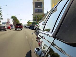 American Swingers' Wild Wedding Orgy Explodes with Lust