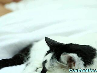 Petite Aaliyah Love babe facialized doggystyle outdoors 😍💦🍆