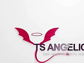 ts angelique reveals private solo latina trans ass play