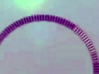 Bushy Ivana Gags on Chad's Thick Cock Then Rides Cowgirl with Deep Creampie Finish