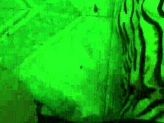 Sherytiffany's Tempting Bareback Doggy Delight