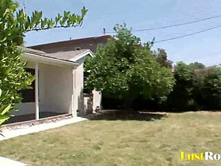 paulina james takes black group blowjob doggystyle surprise