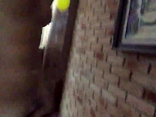 built guy wrecks emo blonde's pussy at paty bumbum carnival publicly