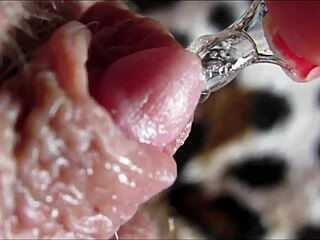 my huge clit head throbs and pulsates in this extreme close-up view