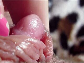 my huge clit head throbs and pulsates in this extreme close-up view