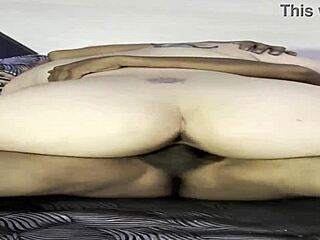 my neighbor texts me cornudo left pussy dripping don't be late