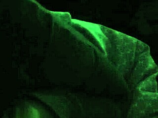 Scarlet Doll amateur BBW milf deepthroats huge cock relentlessly