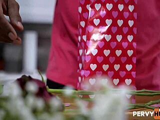 happy valentines with dickdealer don pounding brianna moore's passionate pussy