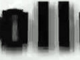 african santa pounds friend's stepdaughter wet pussy in bush new year