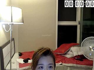 bagel soo teases sexy stripping her clothes off slow