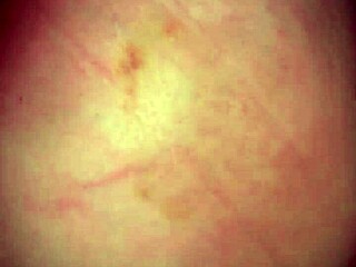 Bbc Slut Takes Best Friend's Boyfriend's Thick Creampie Deep in Ass