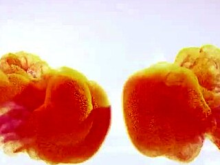 Blonde Oprah teases wet puffy pussy lips in mirror striptease fishnets ripped