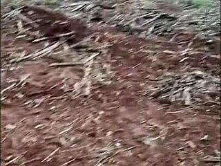 pequena caipira leva rola no cuzinho no canavial dançando funk