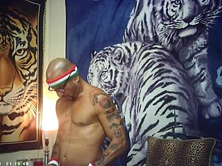 maxxx loadz you see me stroking hard backstage with that magic motion machine?