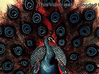 Vintage erotic drawings feature antique retro scenes with detailed poses